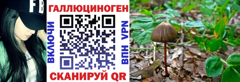 Купить  Дзержинский  Галлюциногенные грибы мицелий 